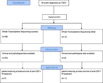 Expanding the molecular spectrum of tenosynovial giant cell tumors